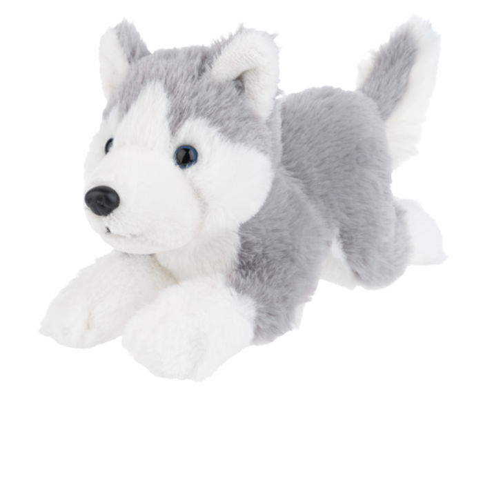 Gray and white plush husky stuffed animal with blue eyes lying down on a white background.