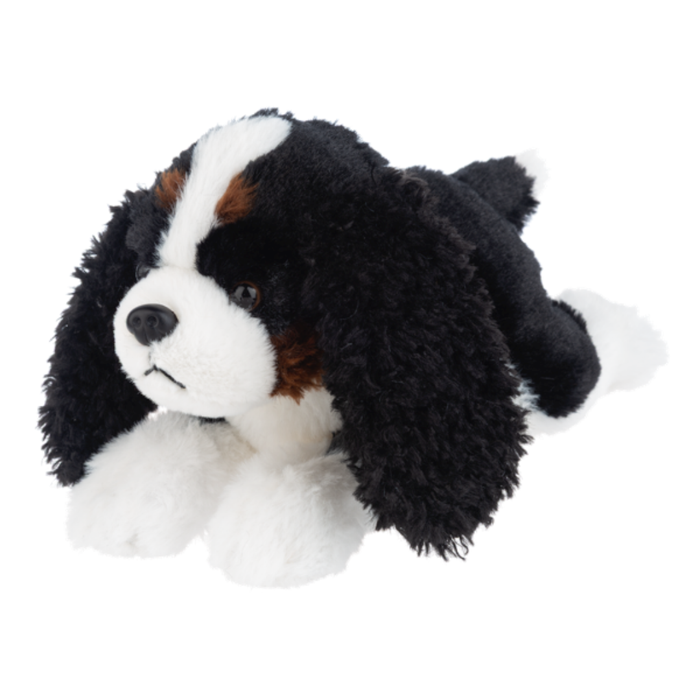 Black, white, and brown King Charles Spaniel plush stuffed animal with long floppy ears lying on a white background.