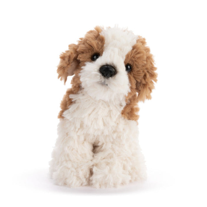 Maltipoo