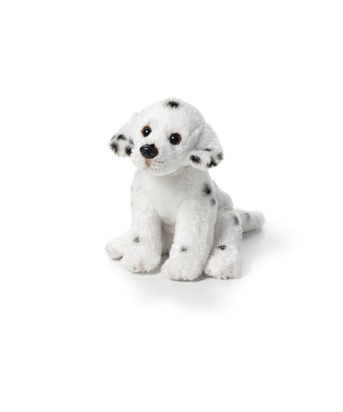 Dalmatian