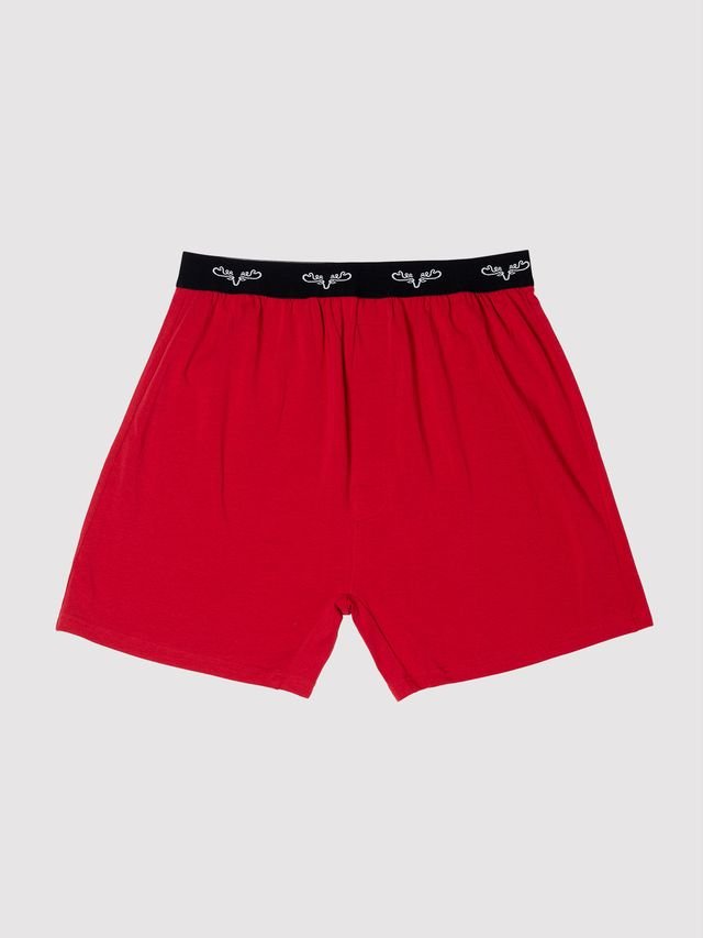 Moose Caboose — Men's Boxers - Millie + Moose