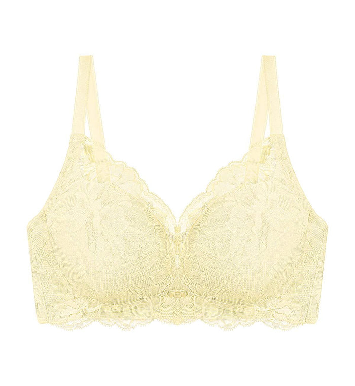 Natural Elegance Sleek Non-Wired Padded Bra - IVORY