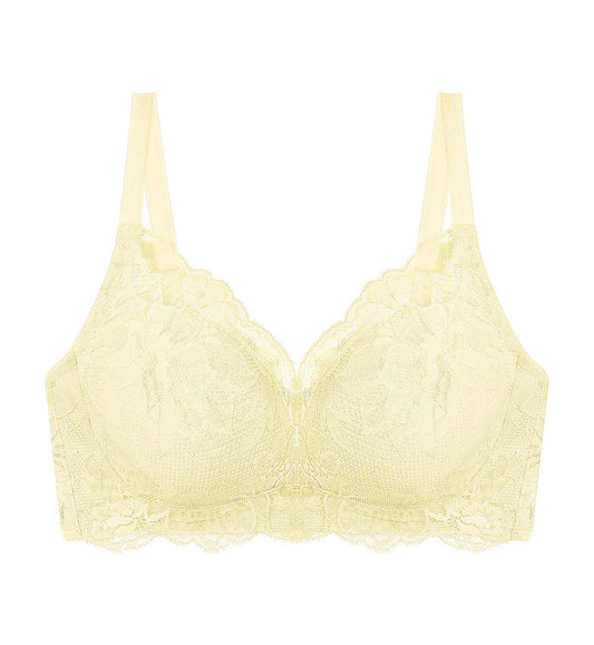 Natural Elegance Sleek Non-Wired Padded Bra - IVORY
