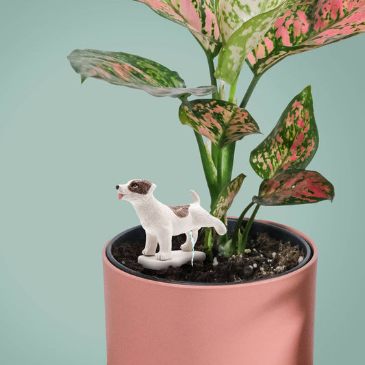 NPW Pee My Plants Dog Watering Decoration