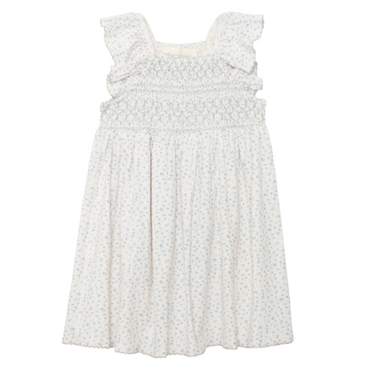 Girls blue floral smocked dress with flutter sleeves on white background