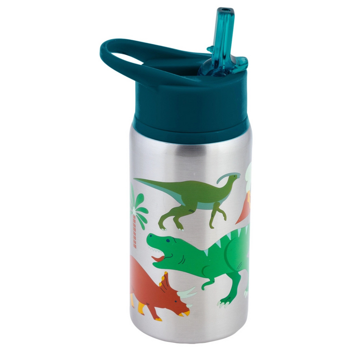 Stainless Steel Water Bottles