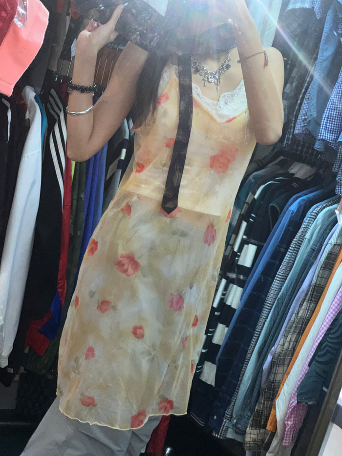 Vintage Fairy Lace Dress